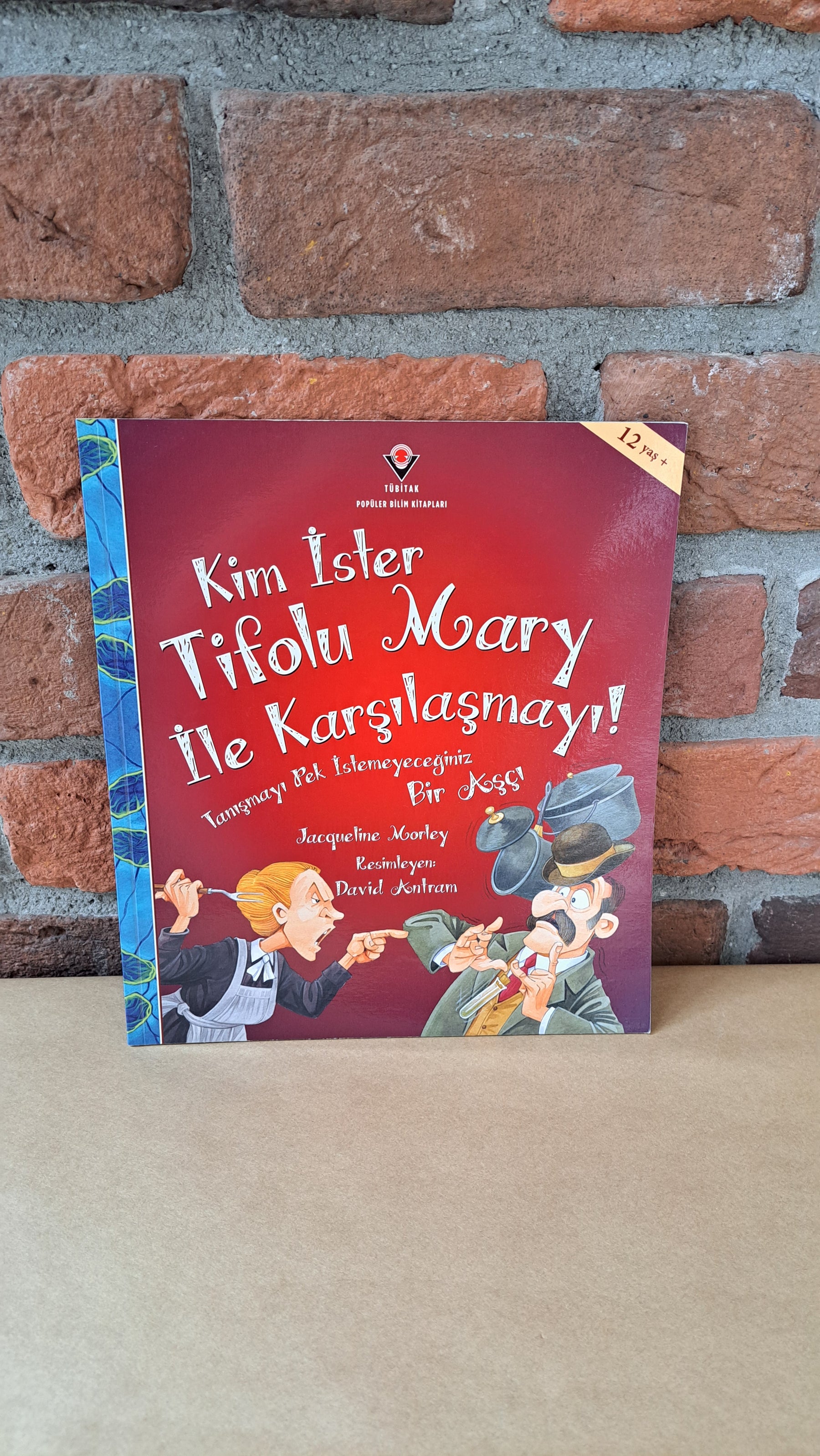 Kim ister Tifolu Mary ile Karşılasmayı – Jacqueline Morley | TÜBITAK Yayınları