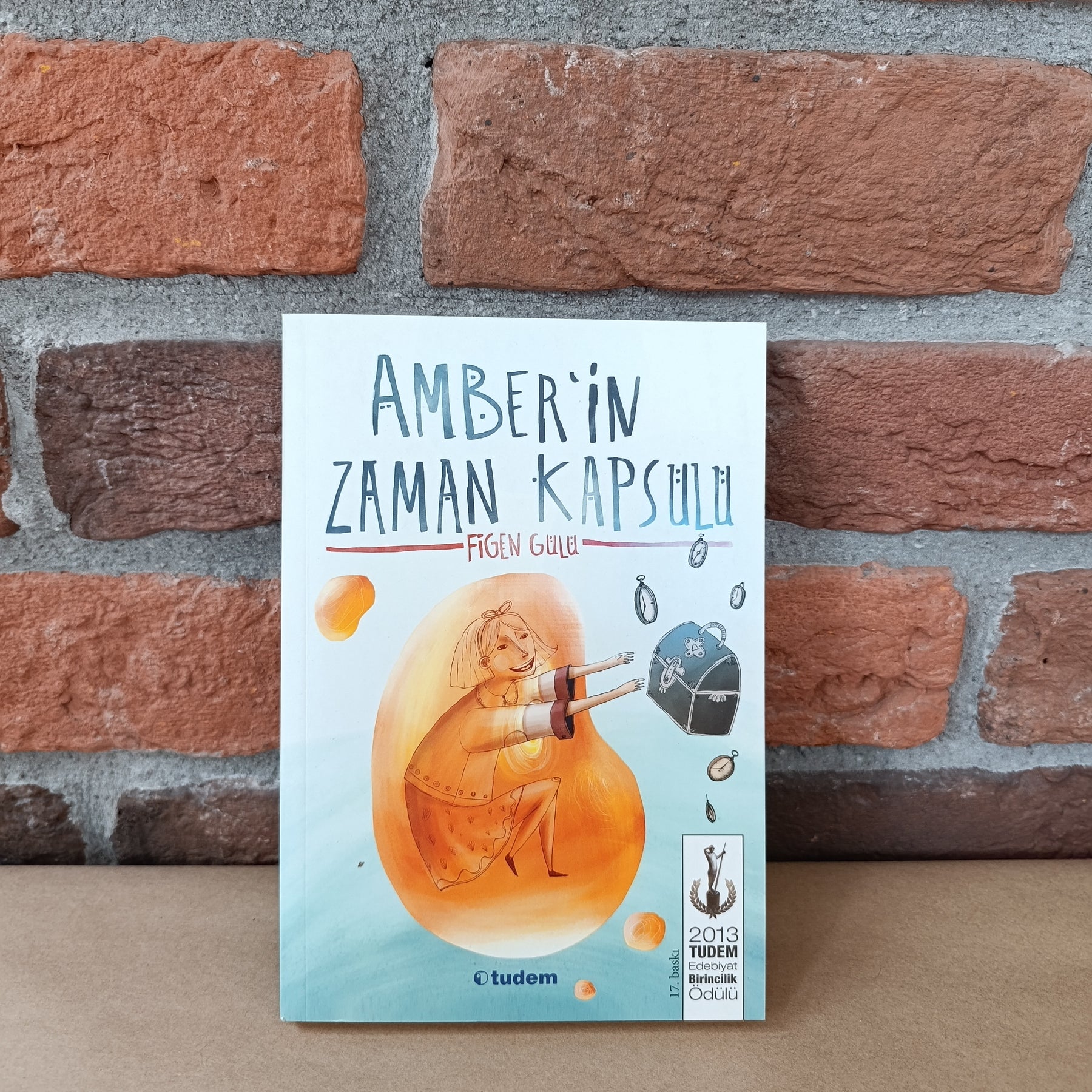Amber'in Zaman Kapsulu, Figen Gülü – Figen Gülü | Tudem Yayınları