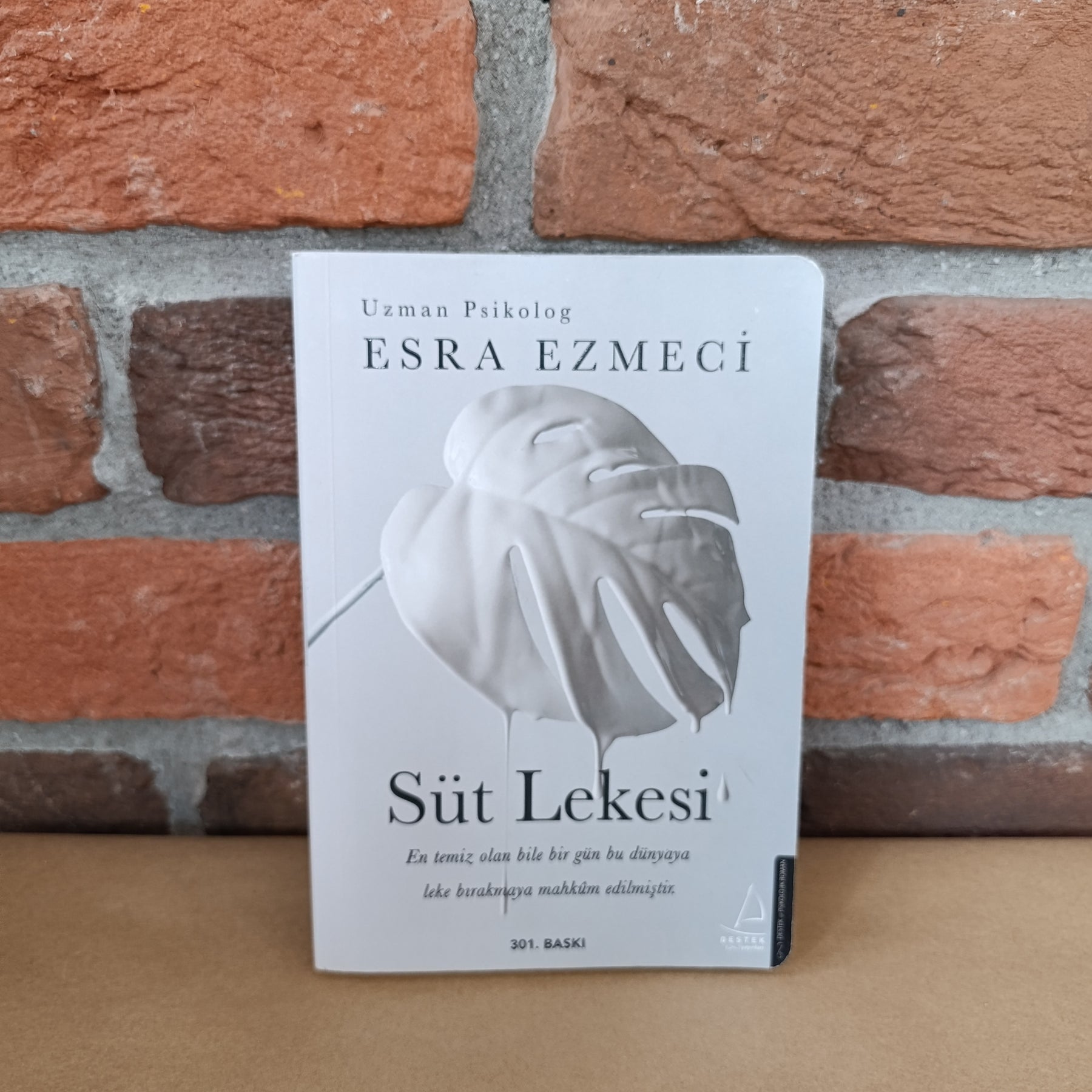 Süt Lekesi, Esra Ezmeci – Esra Ezmeci | Destek Yayınları