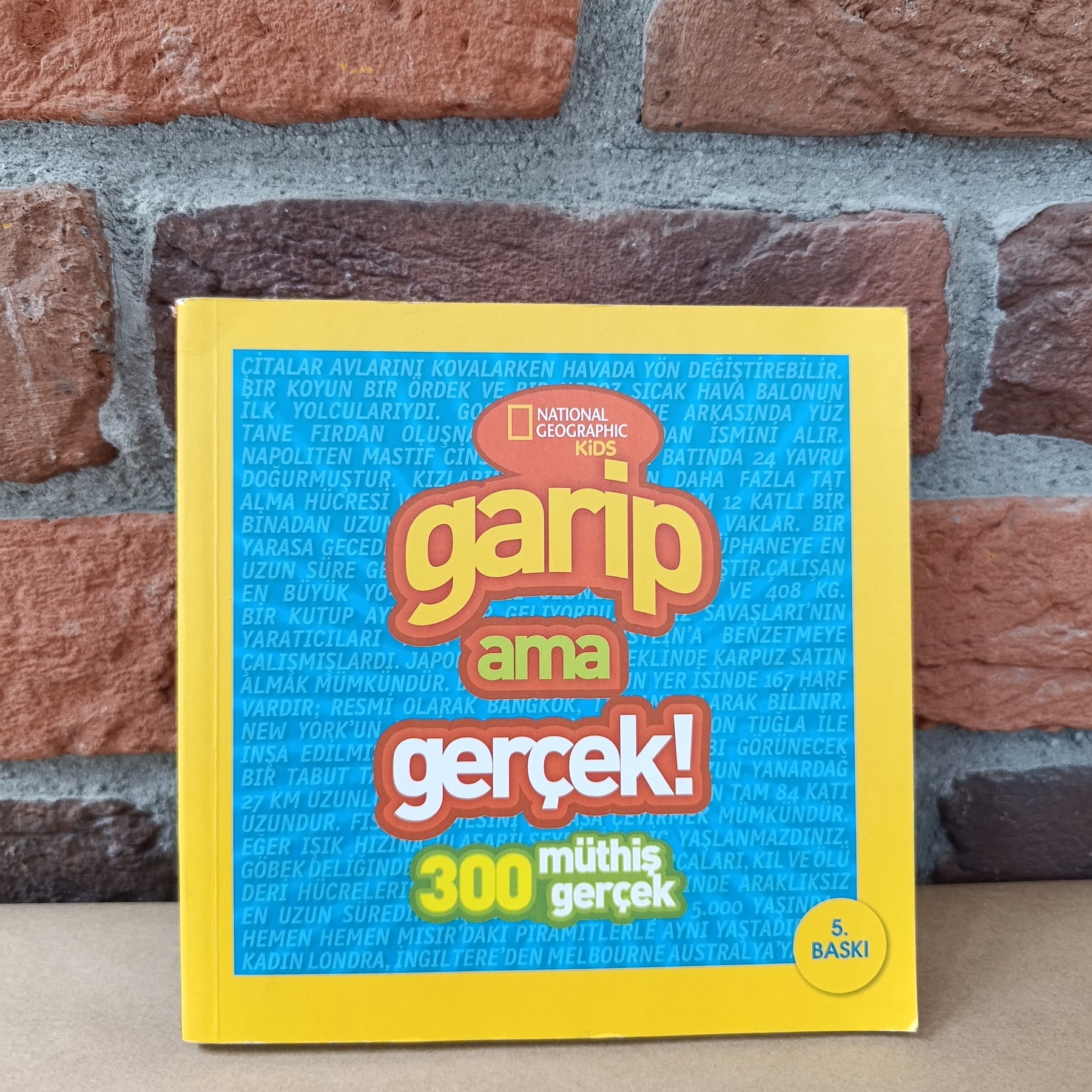 Garip Ama Gerçek 3 – Collective | Beta Kids