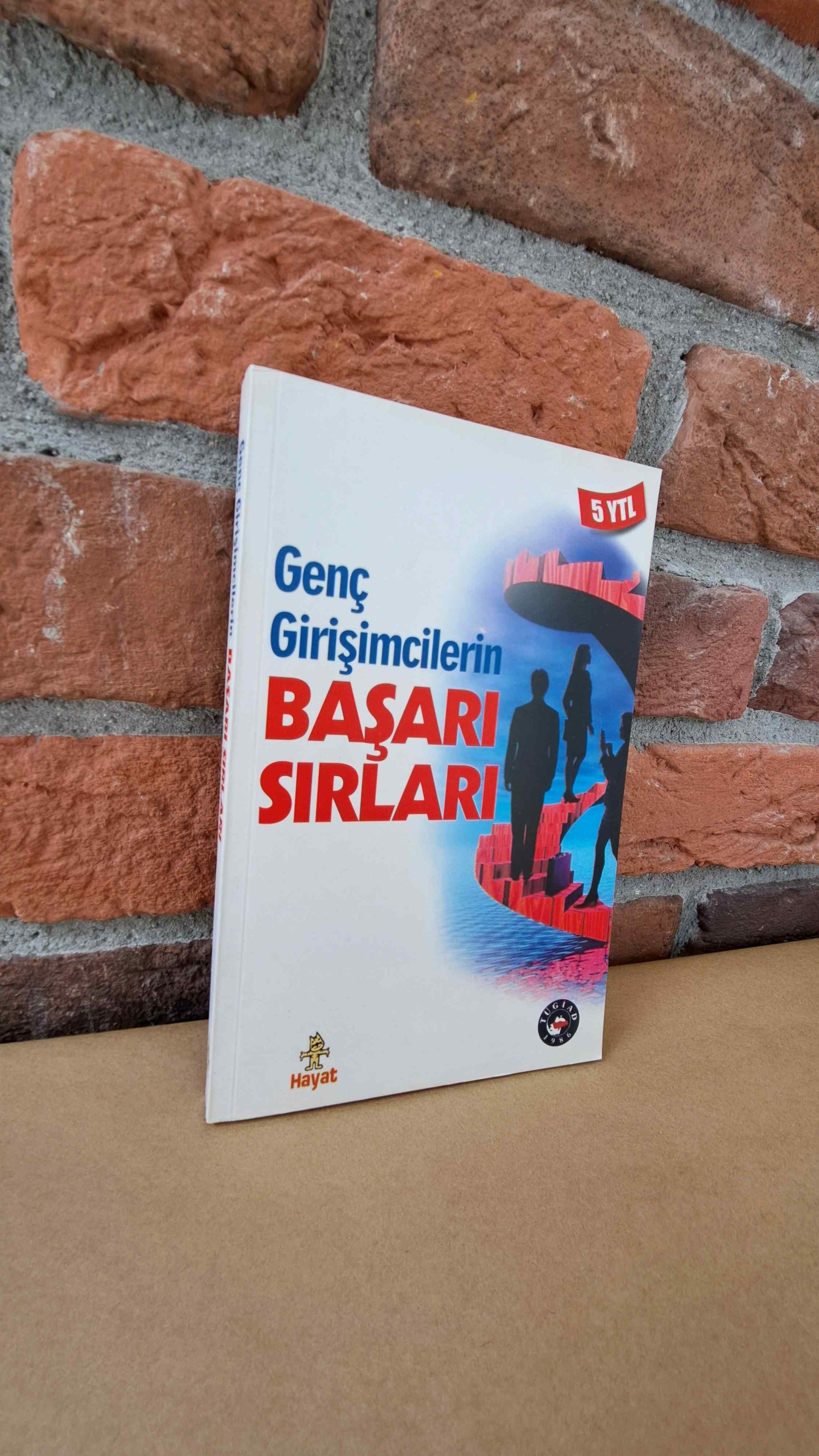 Genç Girişimcilerin Basari Sırları | Hayat Yayıncılık