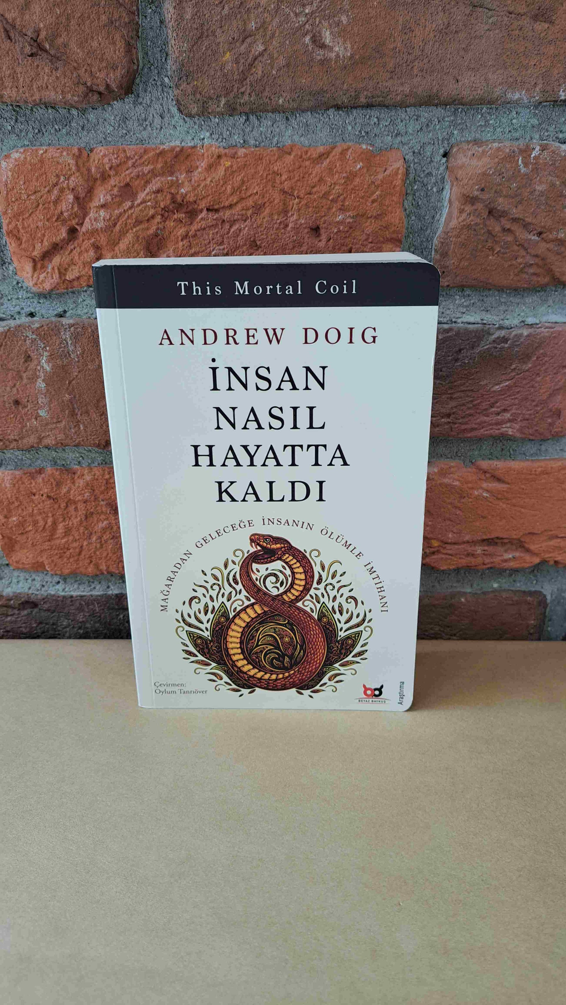 İnsan Nasıl Hayatta Kaldı, Adrew Doig – Adrew Doig | Beyaz Baykuş Yayınları