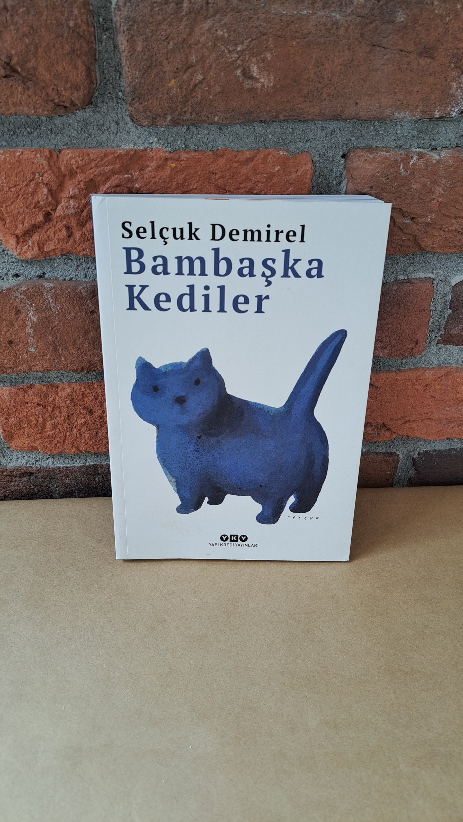 Bambaşka Kediler, Selçuk Demirel – Selçuk Demirel | Yapı Kredi Yayınları
