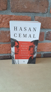 Hayat Iste Böyle Gecip Gidiyor, Hasan Cemal, Mehmet Said Aydın