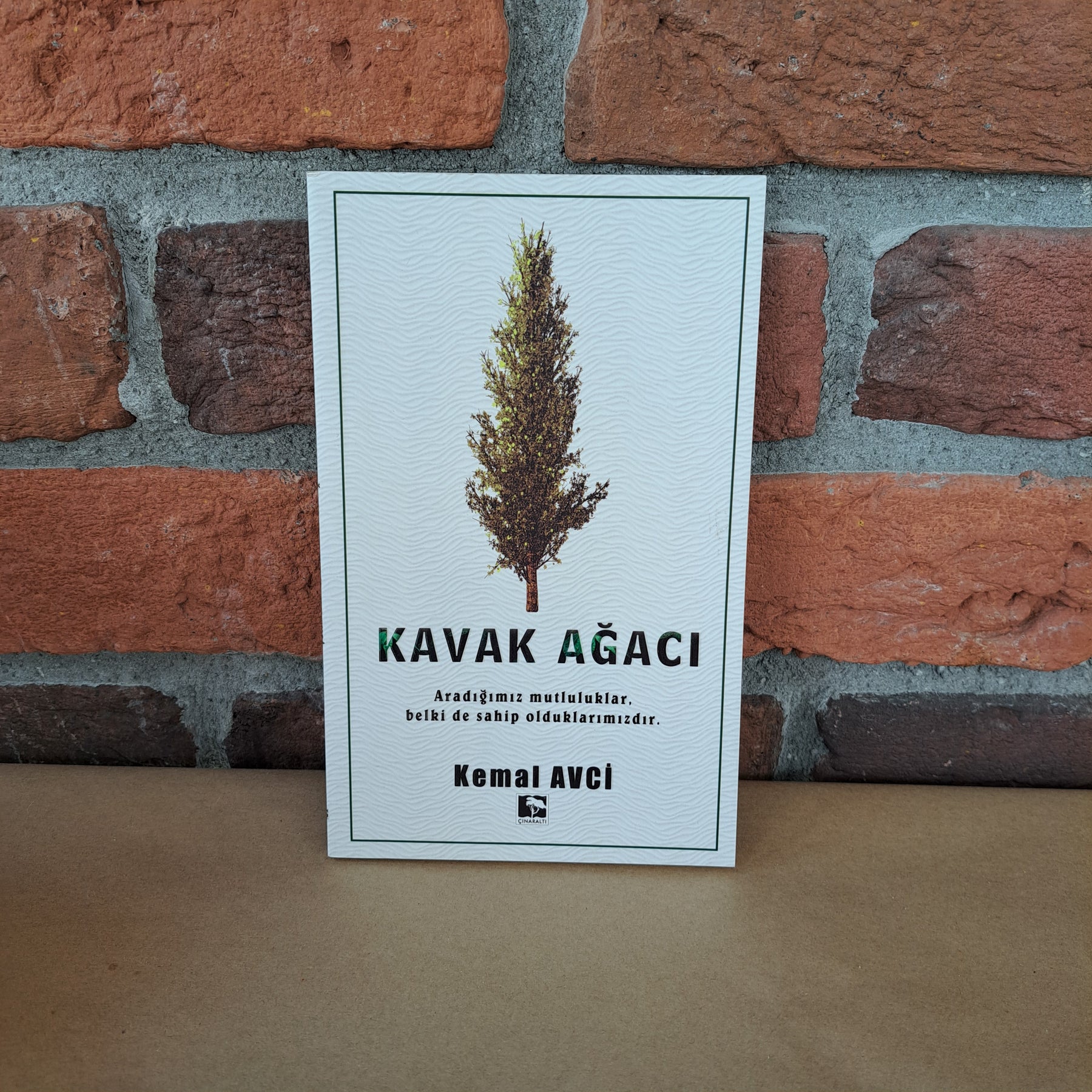 Kavak Ağacı, kemal – kemal avci | Çinaralti Yayınları