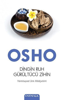 Dingin ruh gürültücü zihin cover image