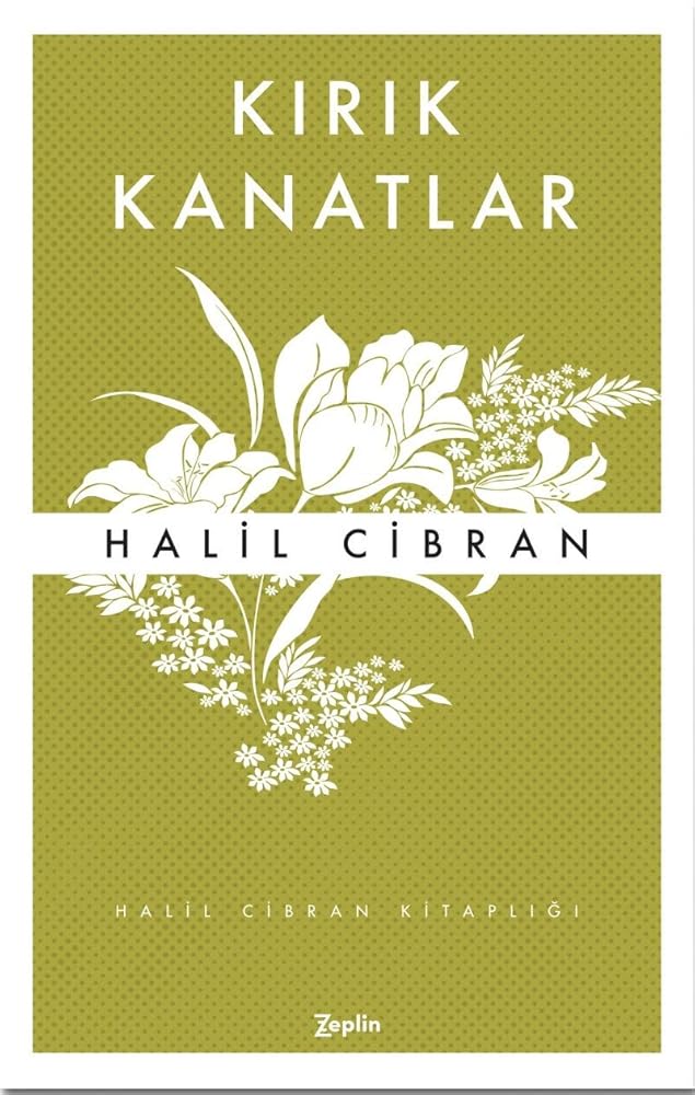 Kirik Kanatlar cover image