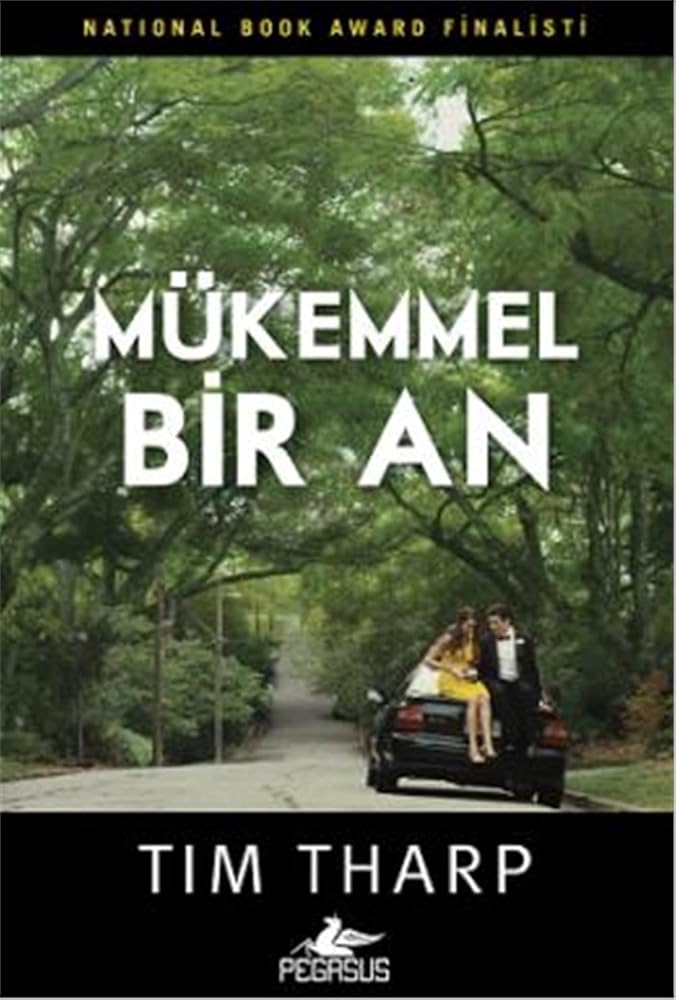 Mukemmel Bir An cover image