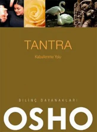 Tantra - Kabullenme Yolu cover image