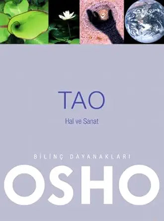 Tao - Hal ve Sanat cover image