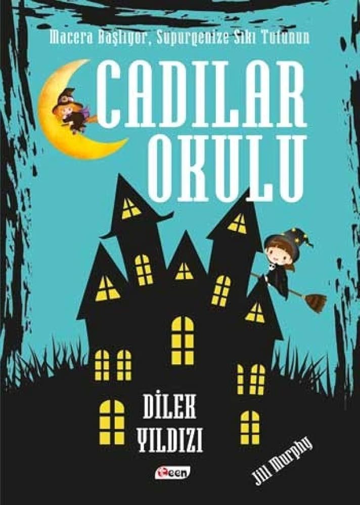 Cadilar Okulu Dilek Yildizi cover image