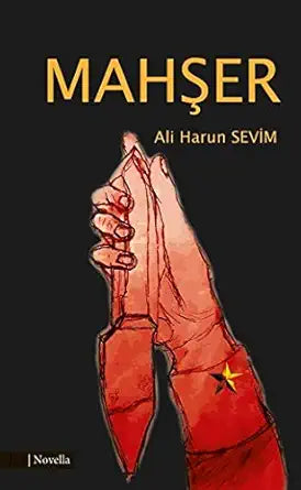 Mahşer cover image