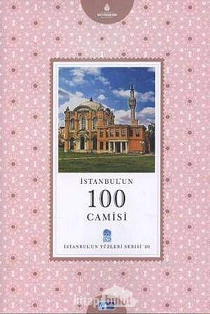 İstanbul'un 100 Camisi cover image