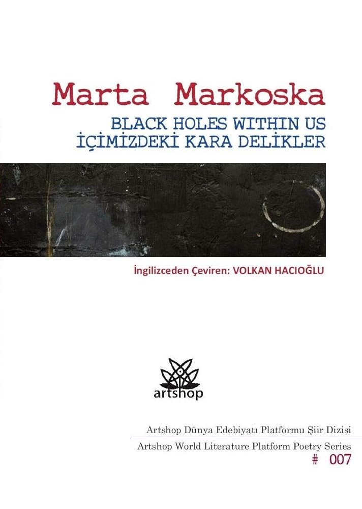 Icimizdeki Kara Delikler cover image