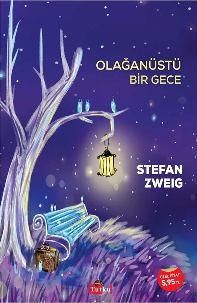 Olaganüstü Bir Gece cover image