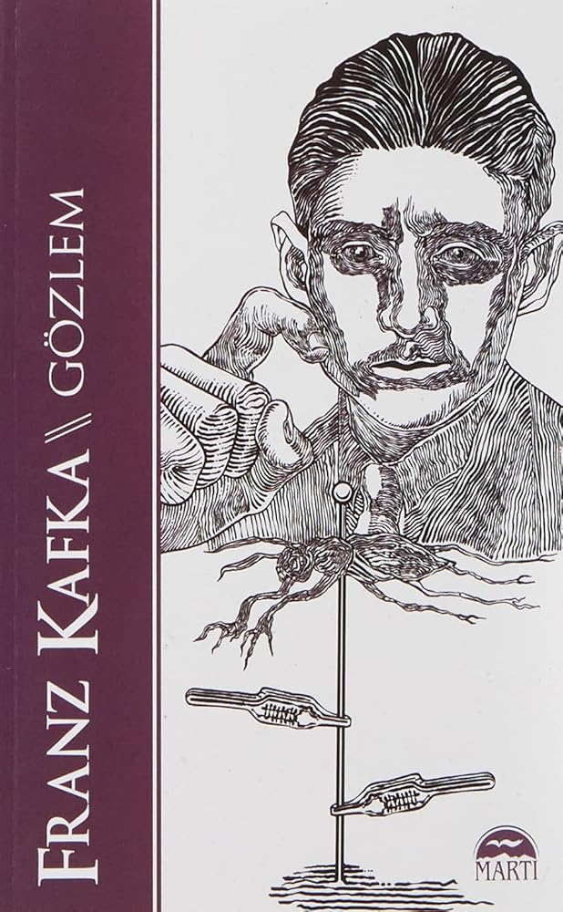 Gözlem cover image