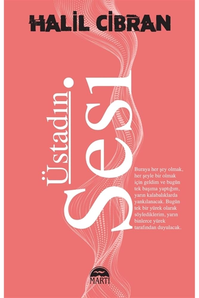 Üstadin Sesi cover image