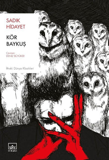 Kör Baykus cover image