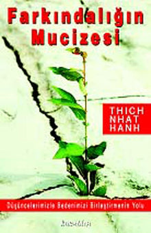 Farkindaligin Mucizesi cover image