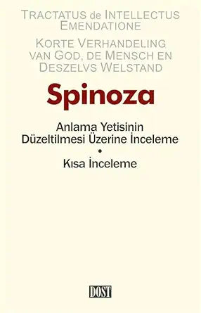 Anlama Yetisinin Düzeltilmesi Üzerine İnceleme • Kısa İnceleme cover image