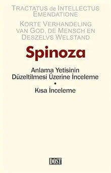 Anlama Yetisinin Düzeltilmesi Üzerine İnceleme • Kısa İnceleme cover image