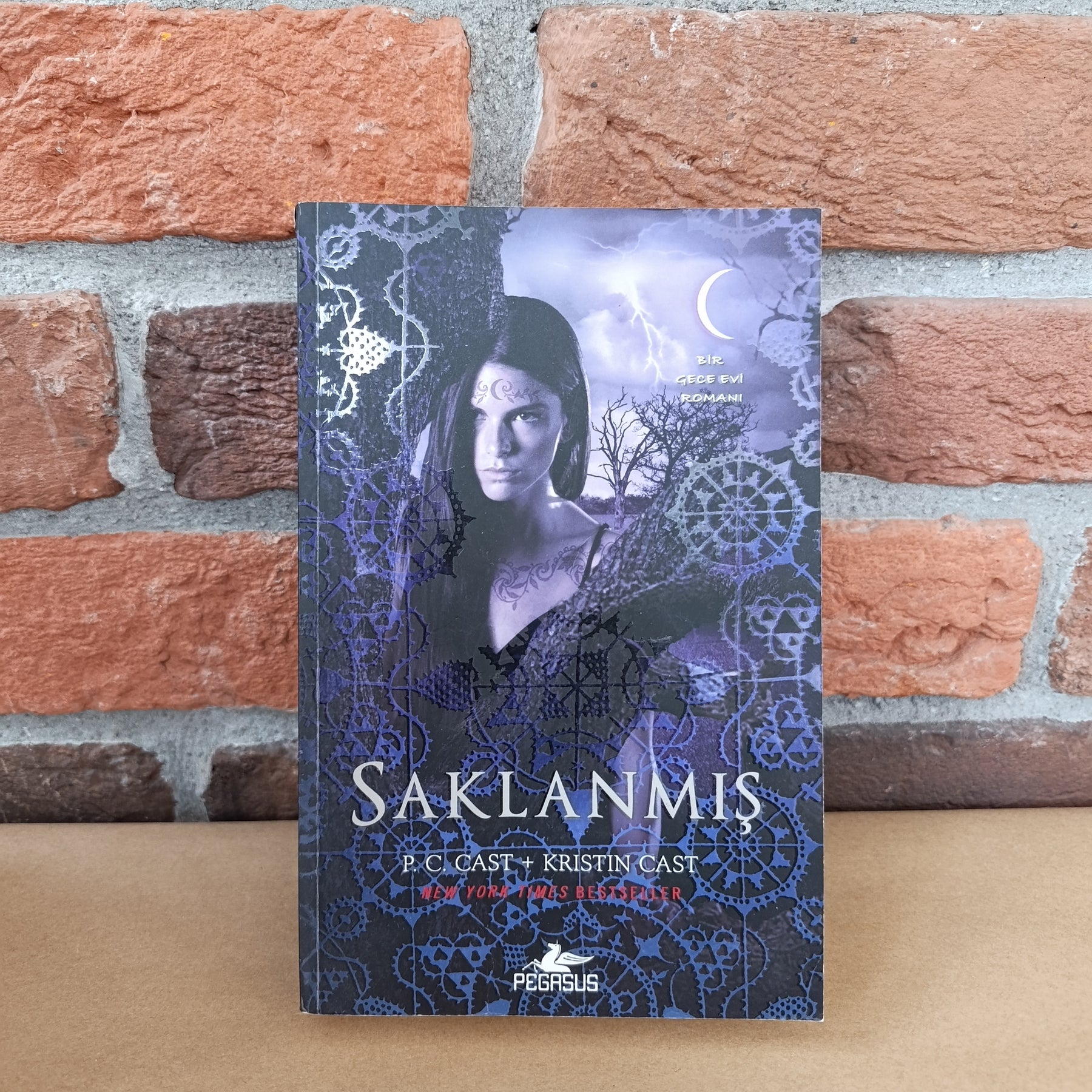 Saklanmis – Kristin Cast | Pegasus