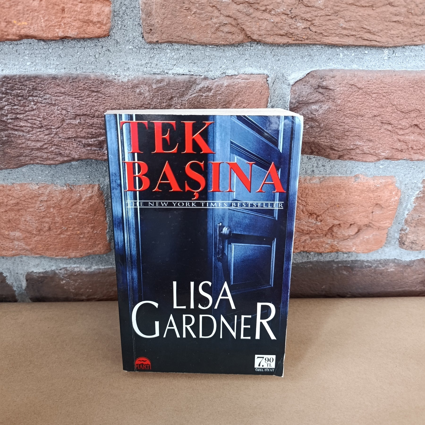 Tek Basina, Lisa Gardner – Lisa Gardner | Martı Yayınları