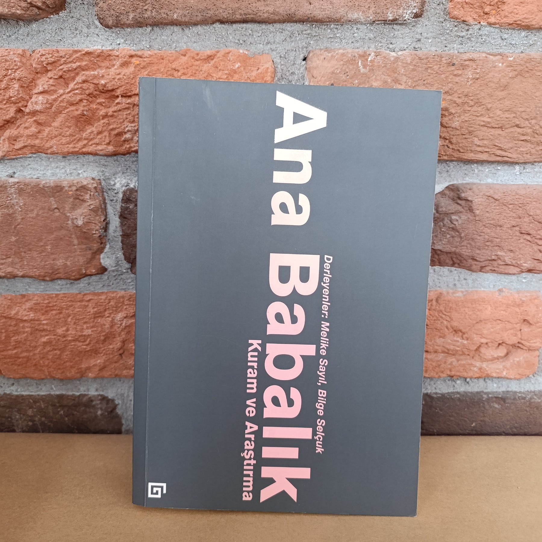 Ana Babalık: Kuram ve Araştırma | Koç Üniversitesi Yayınları