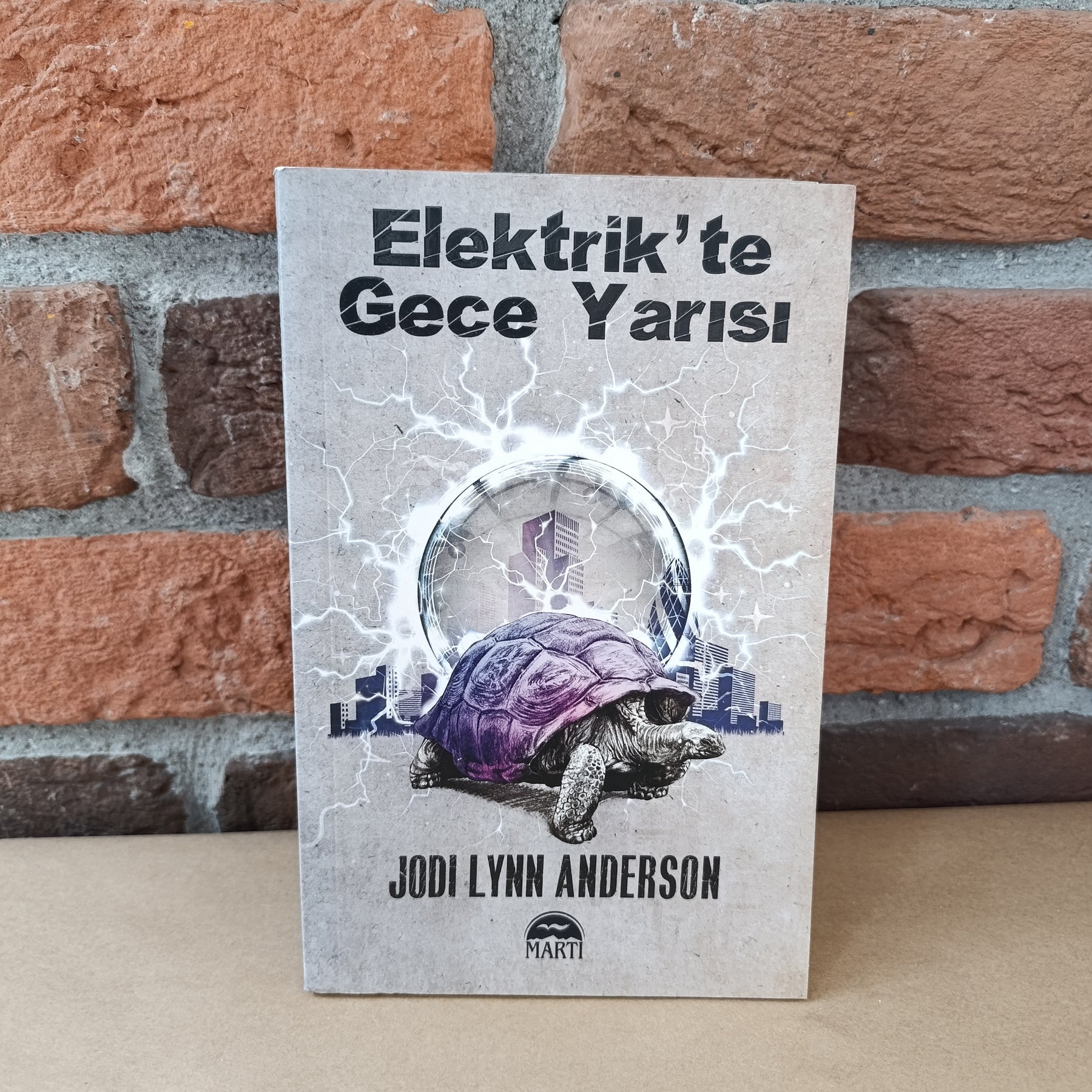 Elektrik'te Gece Yarısı, Jodi Lynn Anderson, – Jodi Lynn Anderson, Belgin Selen Haktanır | Martı Yayınları