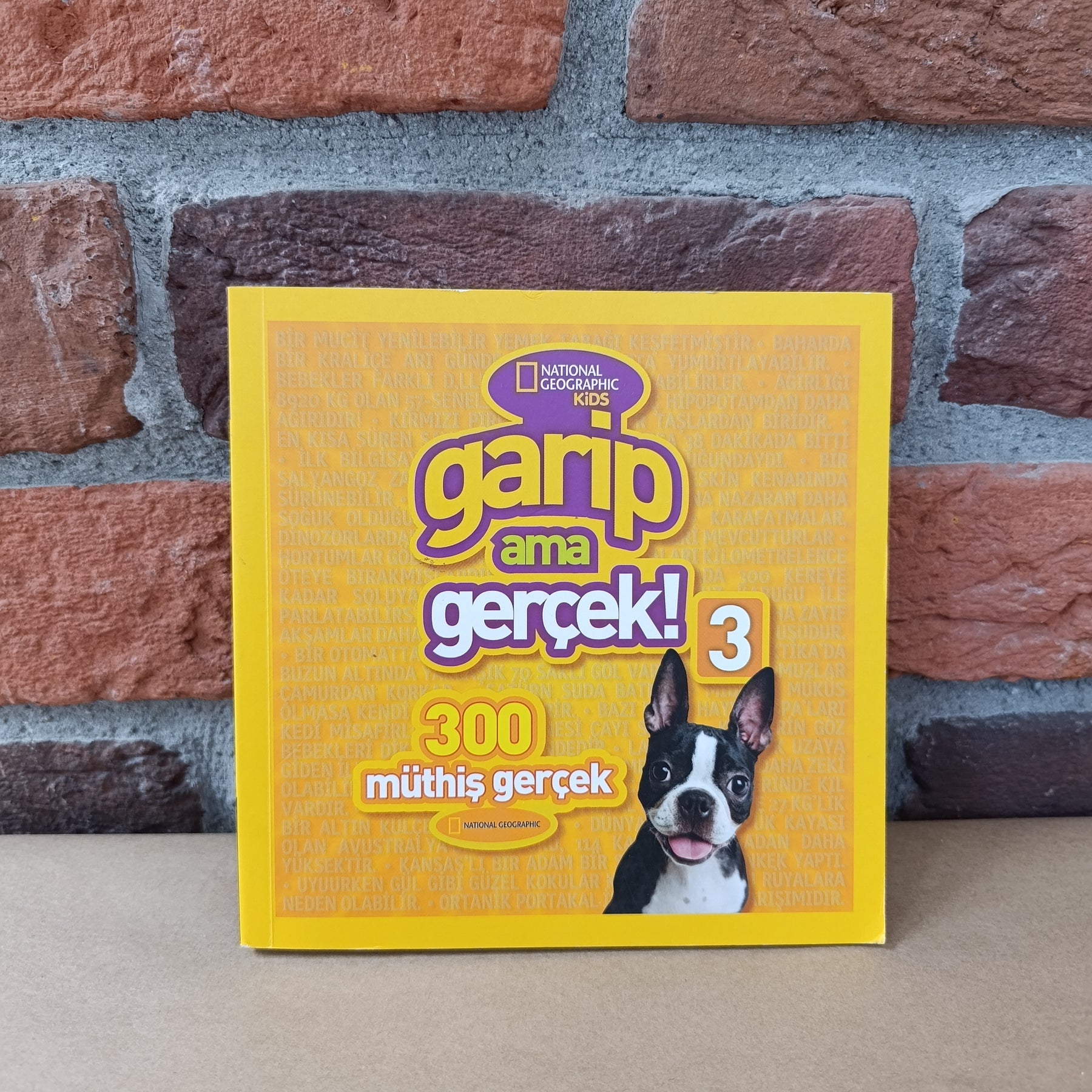 Garip Ama Gercek; National Geographic Kids – Kolektif | Beta Kids
